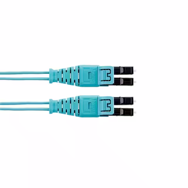 FZ2ELQ1Q1SNM017